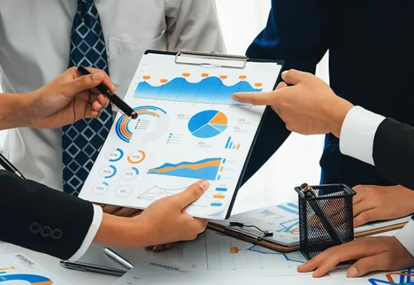 Business Processes and system maturity assessment