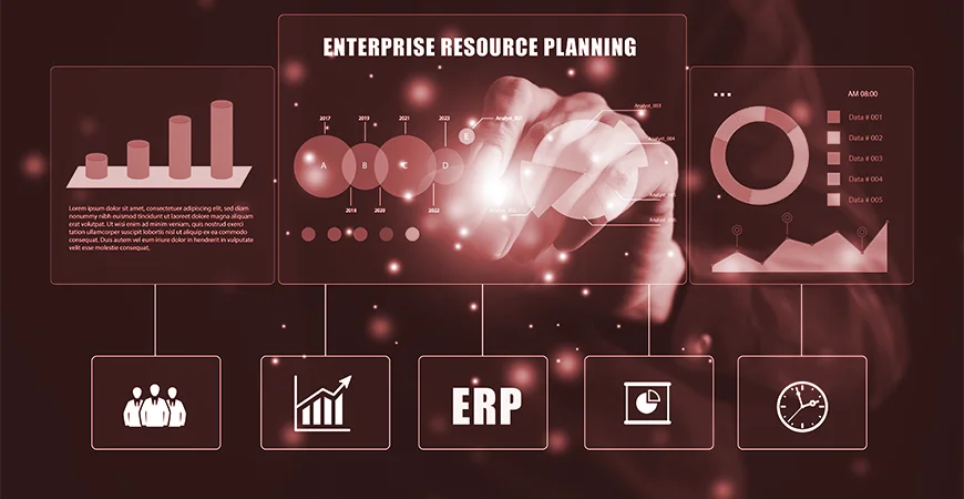 Turning ERP Data